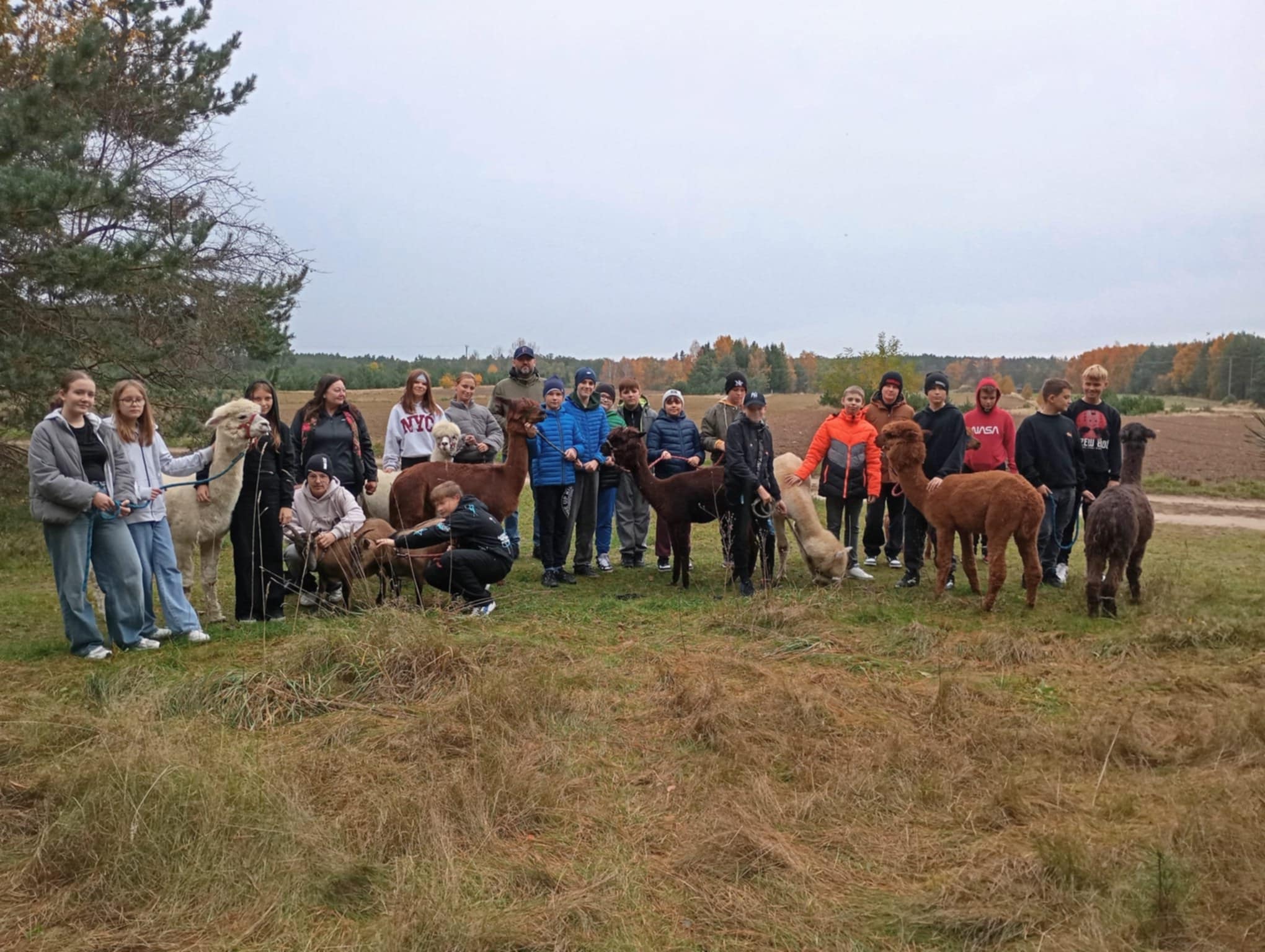 Alpaki, mydełka i Maniek, czyli szóstoklasiści w krainie Cudaków